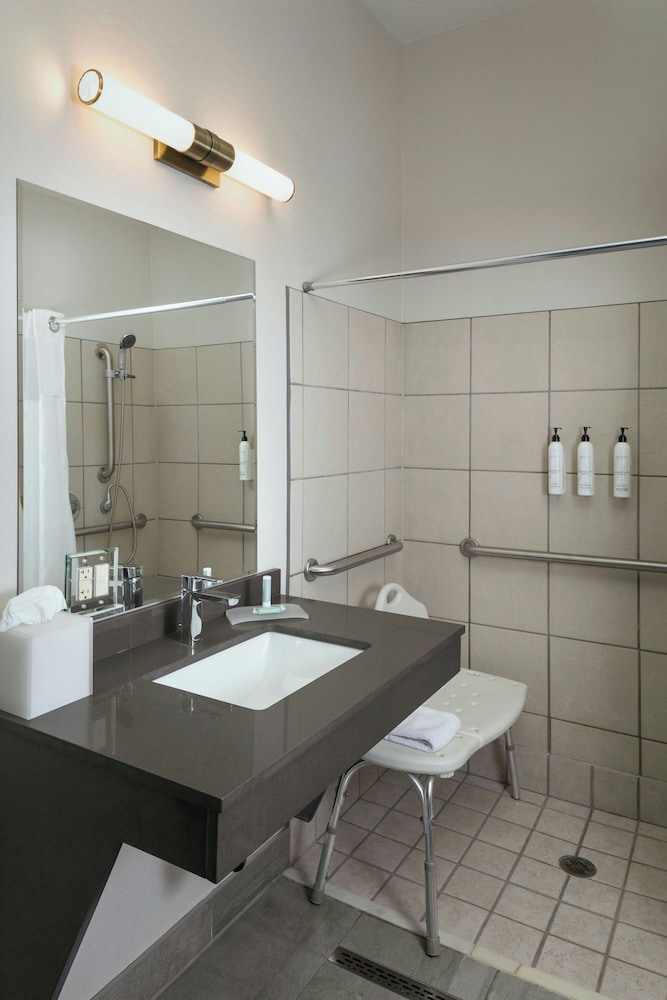 Room, 1 King Bed (Mobility Accessible, Roll-in Shower) photo 3