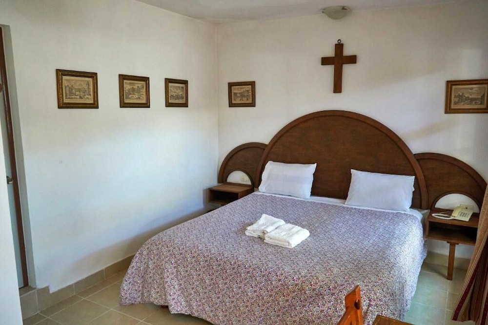 Basic Room, 1 King Bed, Private Bathroom, Courtyard View photo 3