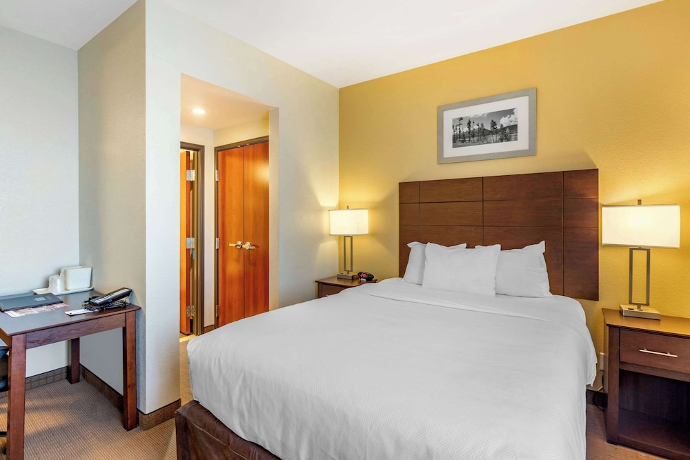 Suite, 1 Queen Bed with Sofa bed, Non Smoking (Efficiency, 2 Person Sofa bed) - Photo 3