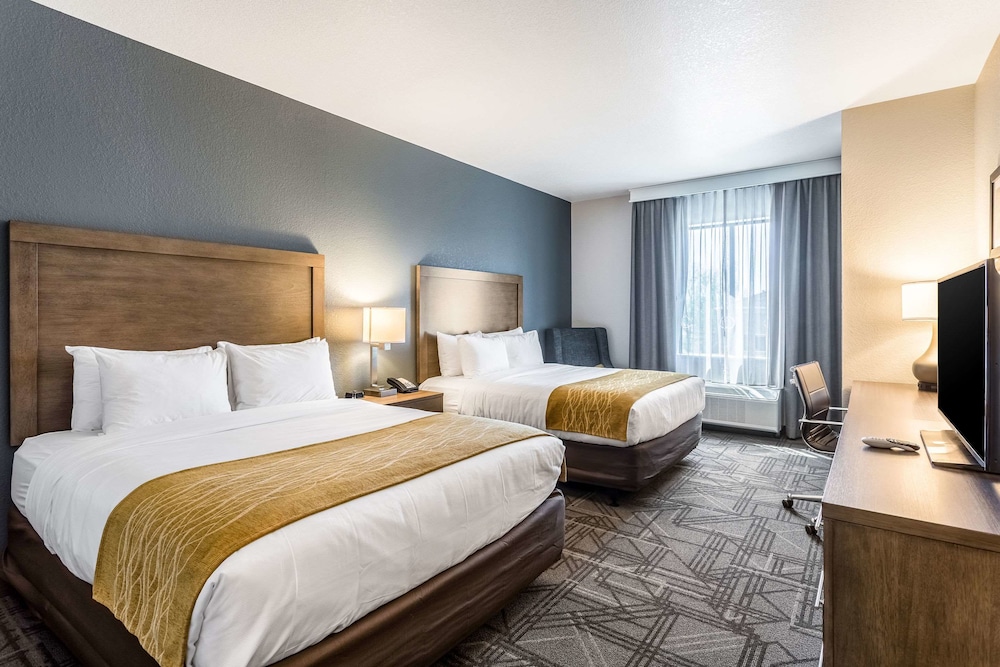 Suite, Multiple Beds, Accessible, Non Smoking photo 1