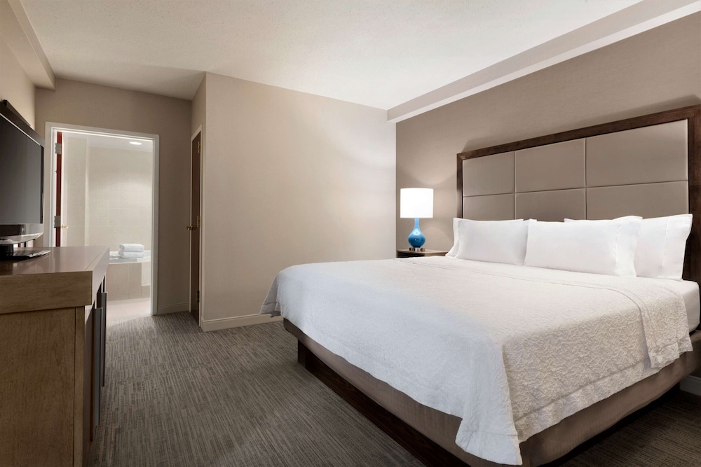 Suite, 1 King Bed - Photo 3