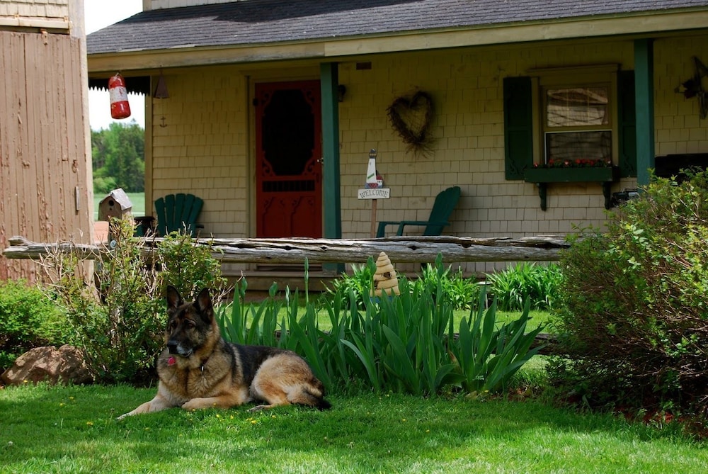 Standard Cottage, 1 Bedroom (The Olde Homestead) photo 2