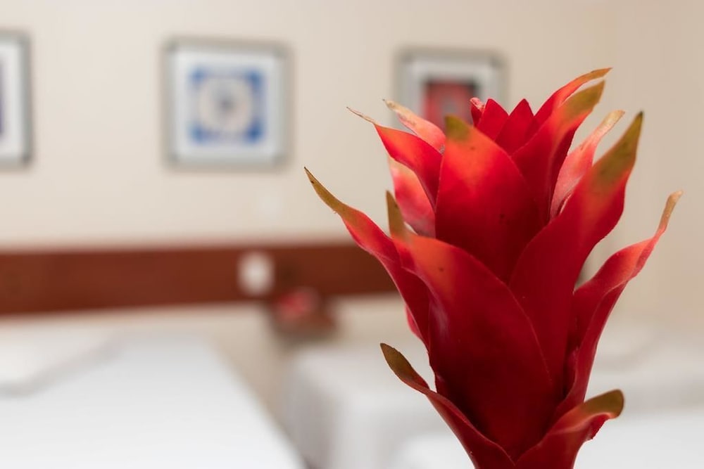 Executive Single Room photo 1