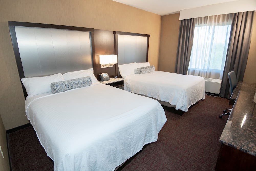 Deluxe Room, 2 Queen Beds photo 1