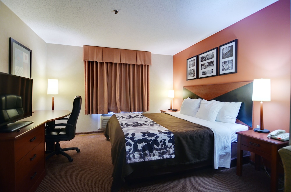 Standard Room, 1 King Bed, Non Smoking