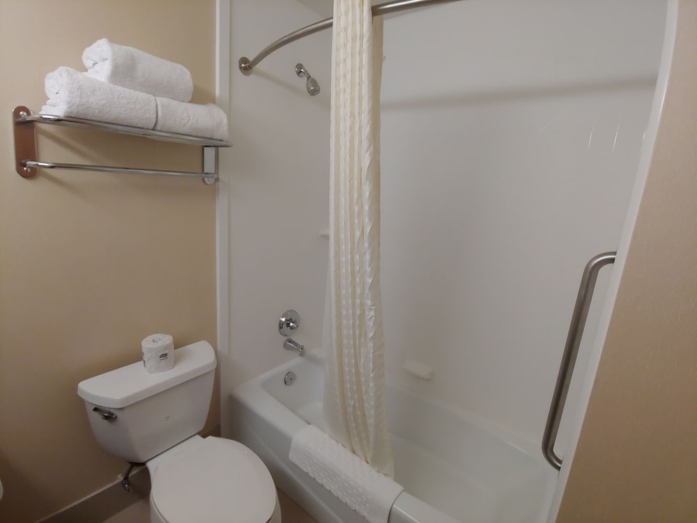 Executive Room, 1 King Bed, Non Smoking, Refrigerator & Microwave