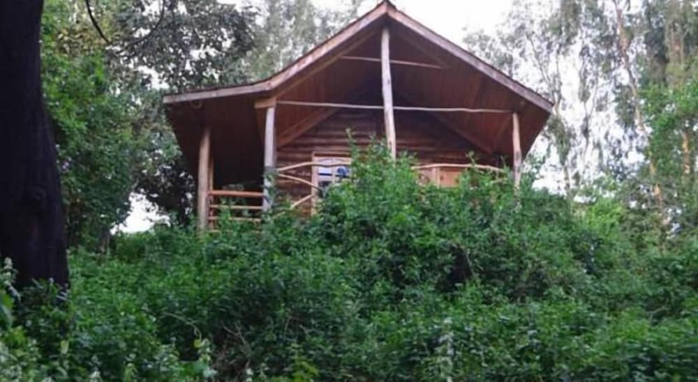 Standard Cottage, Lake View photo 3