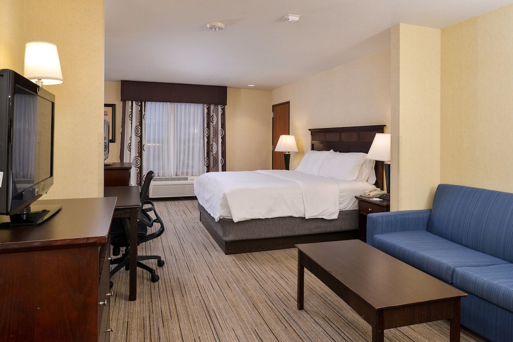 Suite, 1 King Bed, Refrigerator (Additional Living Area) - Photo 4