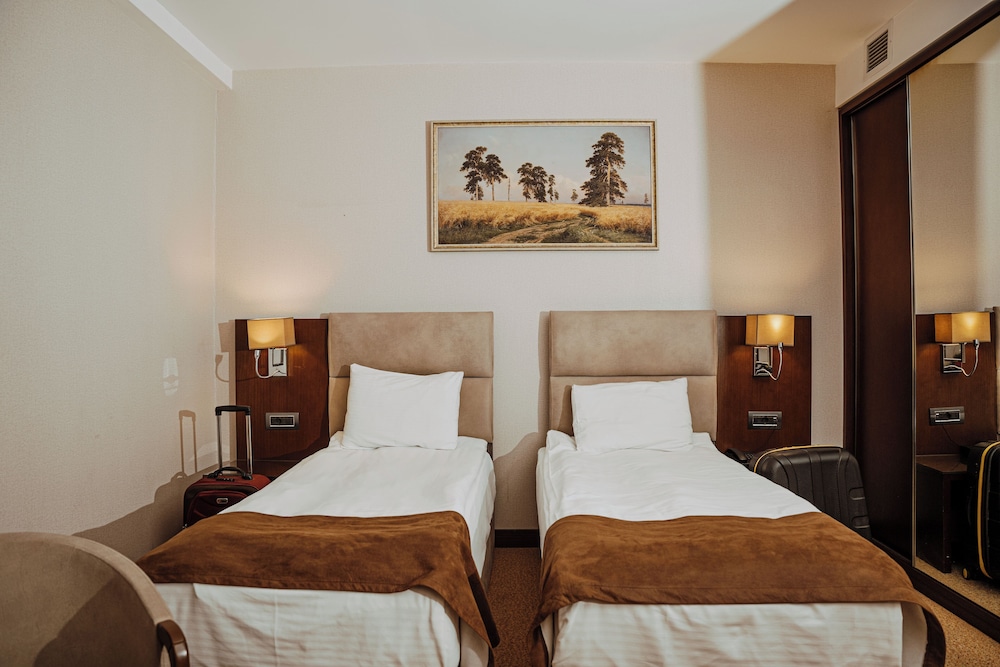 Basic Double or Twin Room, 1 King Bed (No view) - Photo 10