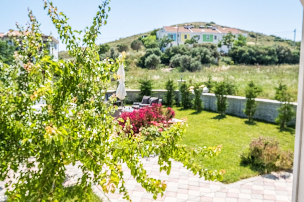 Deluxe Double Room, Patio, Garden Area photo 2