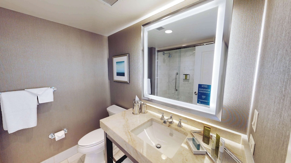 Suite, 1 King Bed