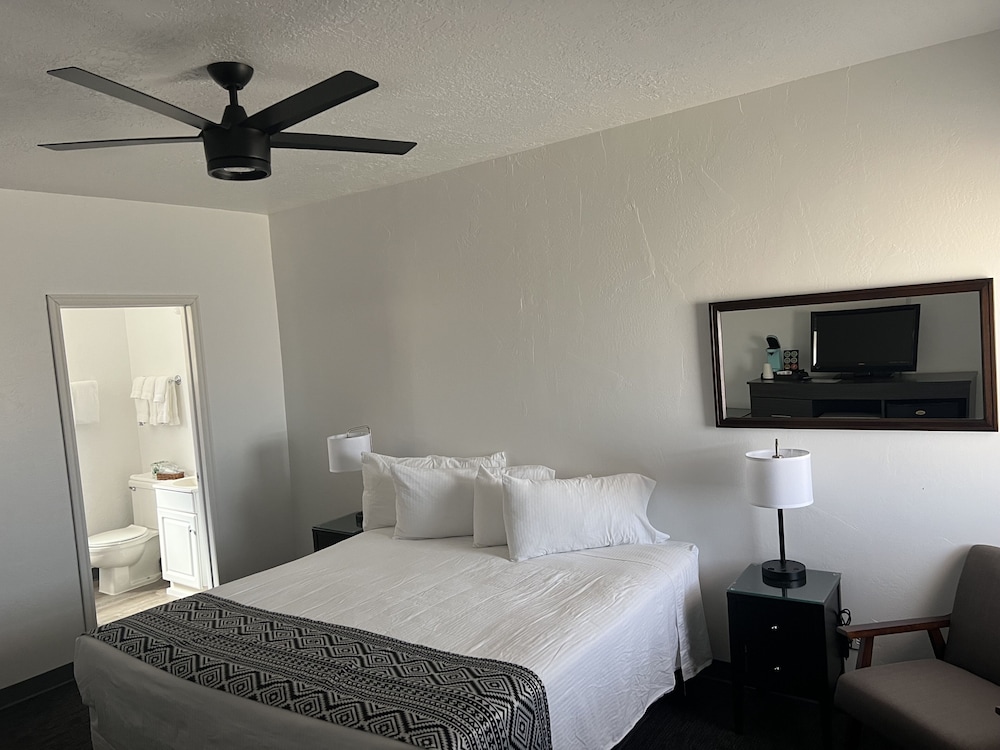 Single Room, 1 King Bed