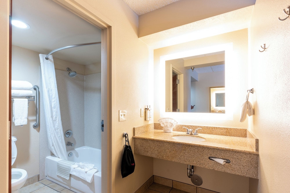 Suite, 1 Bedroom - Photo 5