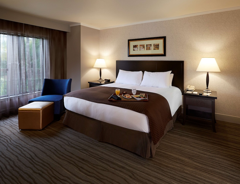 Suite - Photo 1