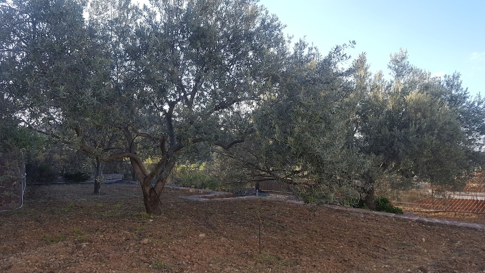 Villa Politimi at Aegina, Billede 13