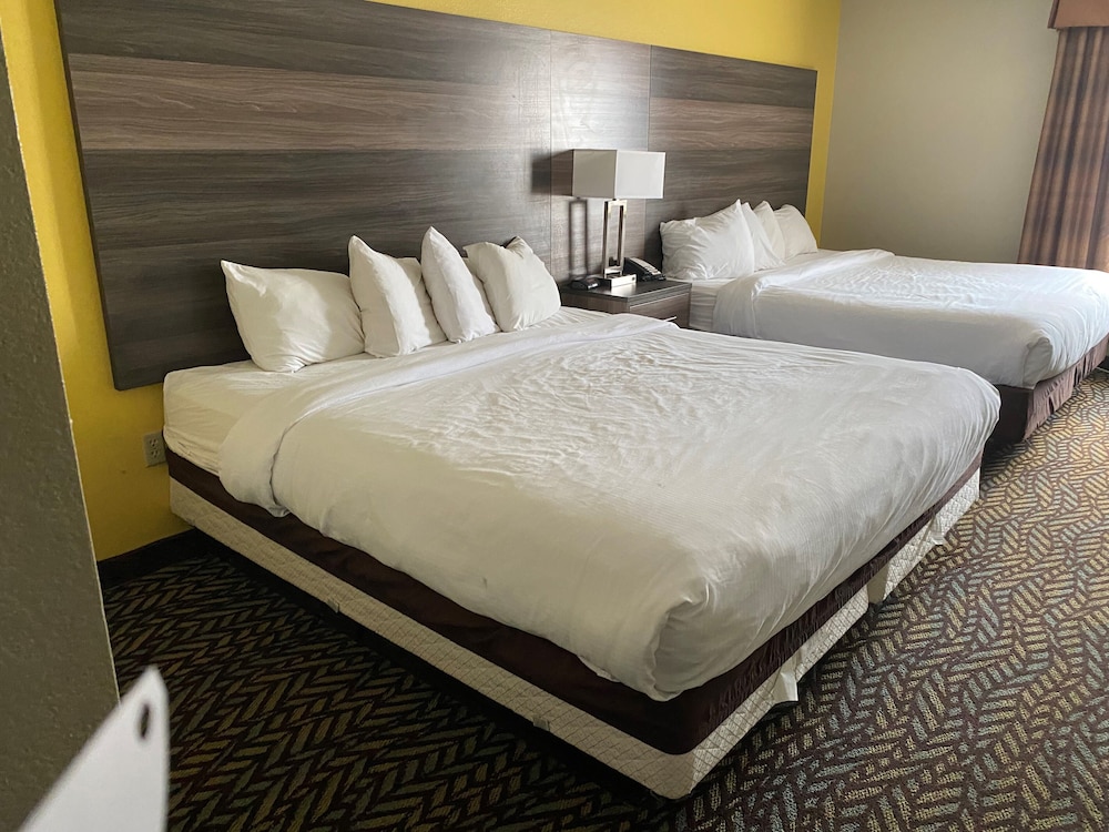 Studio Suite, Multiple Beds, Non Smoking - Photo 4