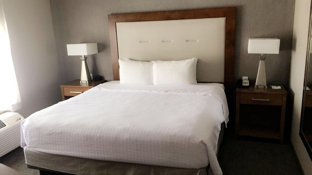 Suite, 1 King Bed, Accessible (Roll In Shower)