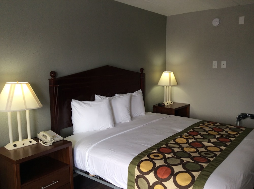 King Room ( STREET VIEW) photo 1
