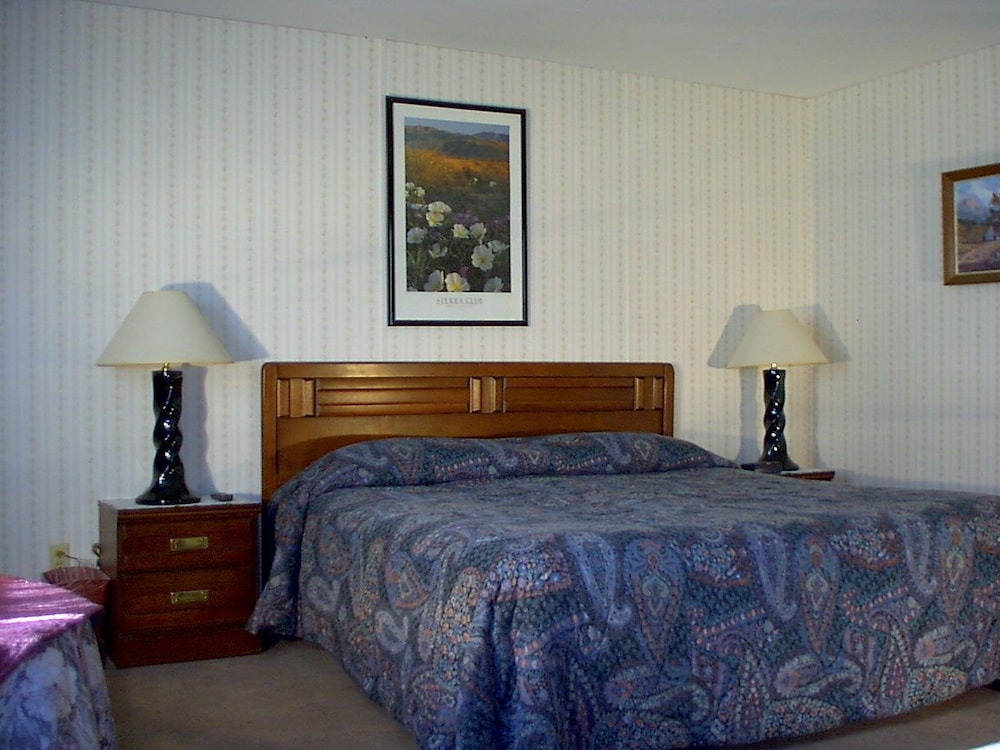 Premier Deluxe, 1 King Bed photo 1
