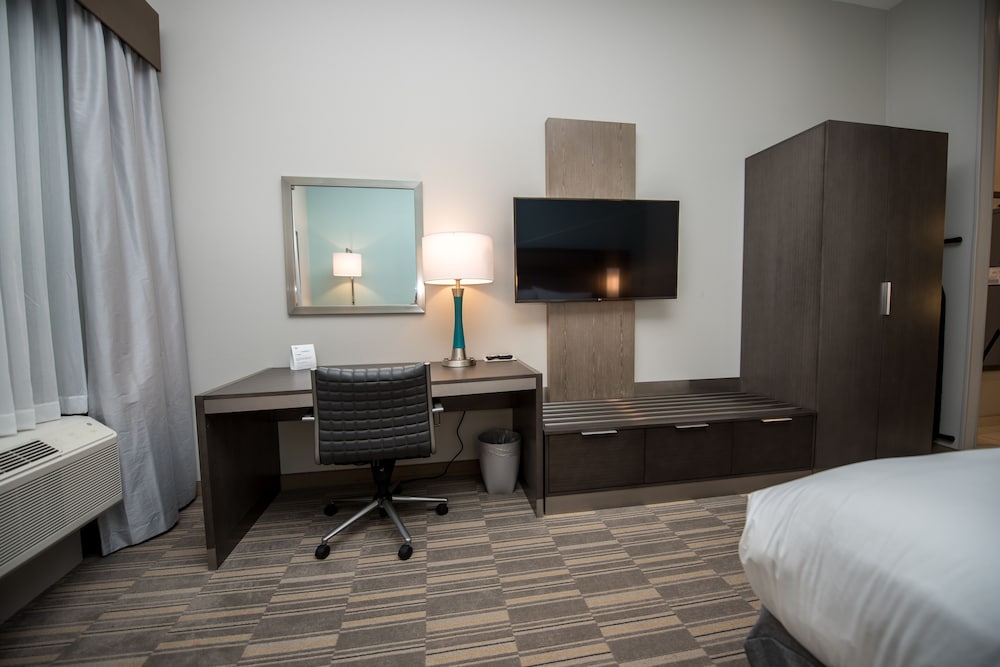 Holiday Inn Express & Suites - Lake Charles South Casino Area by IHG, Φωτογραφία 2
