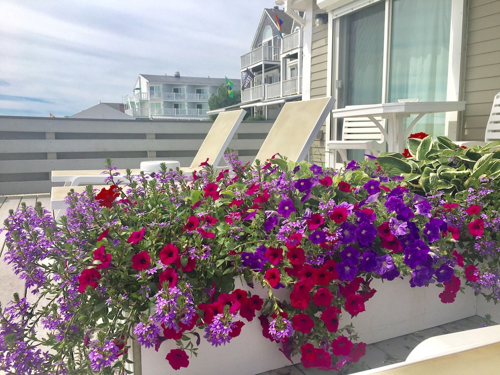 Room, Balcony, Beach View photo 3