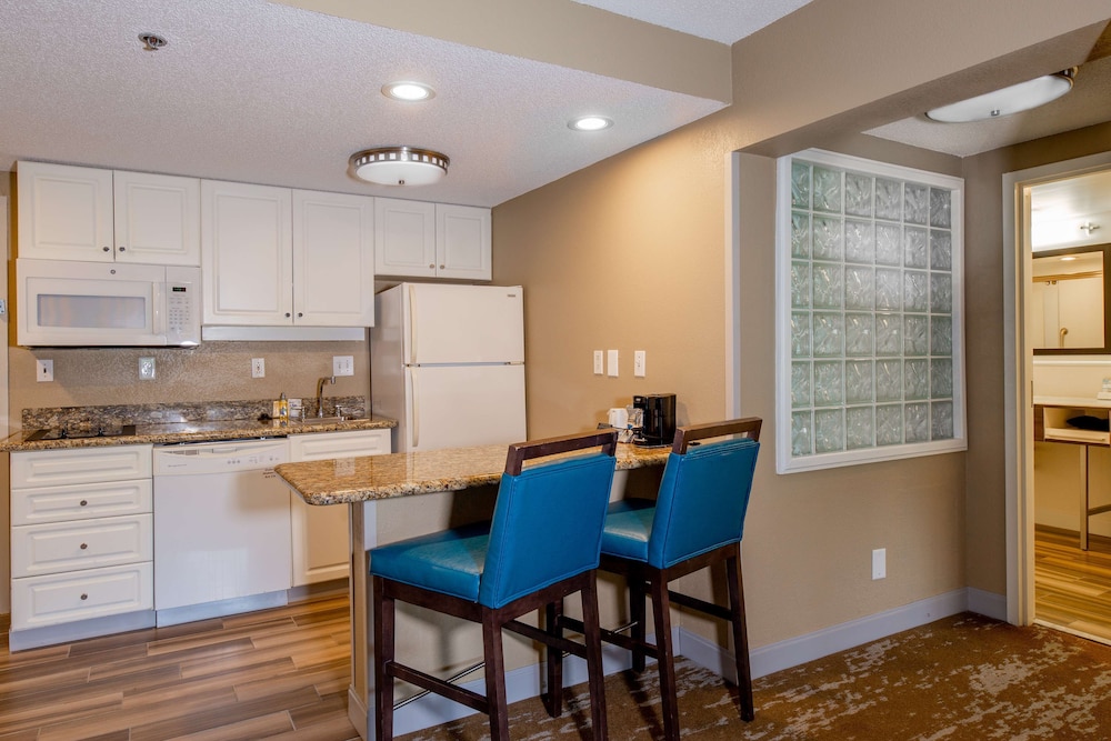 Suite, 1 King Bed, Kitchen - Photo 4