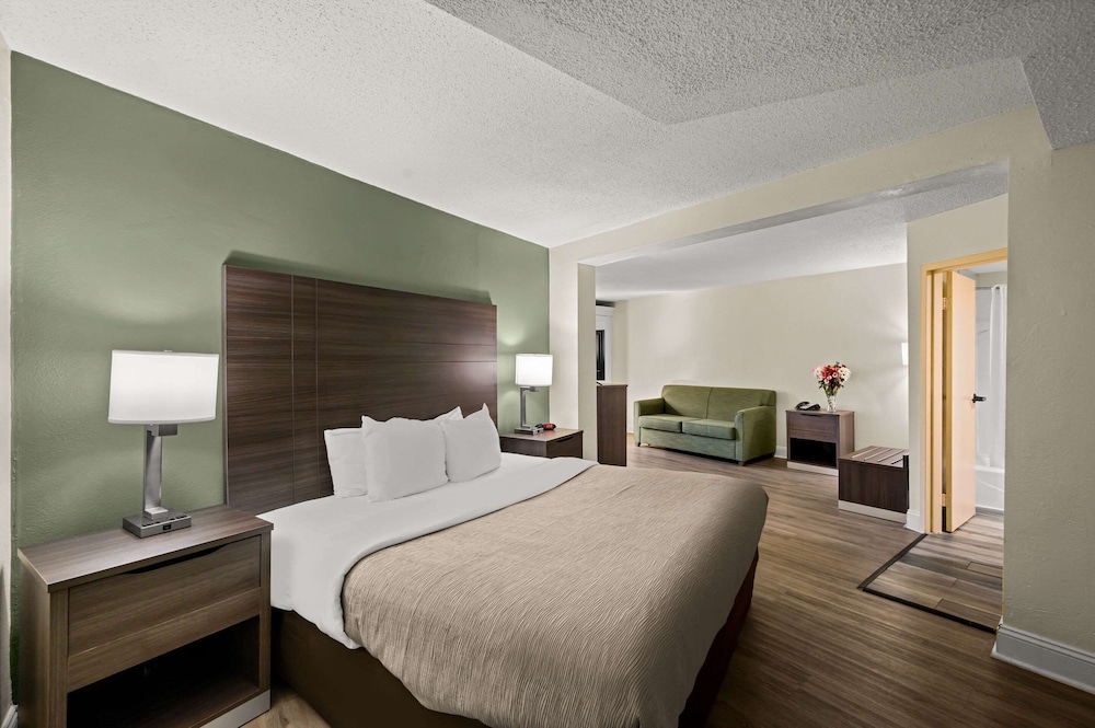 Suite, 1 King Bed, Non Smoking - Photo 9