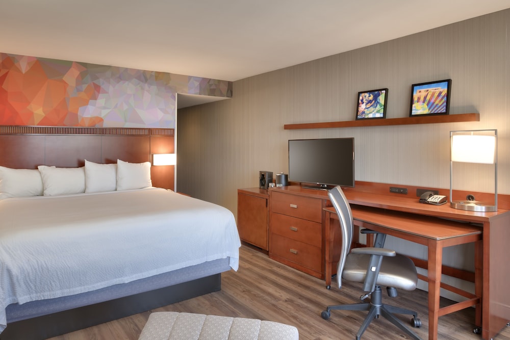 Standard Room, 1 King Bed (Mobility Accessible, Tub) - Photo 3