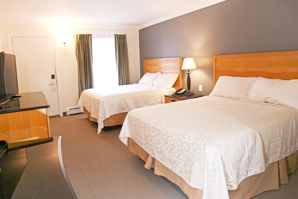 Standard Room, 2 Double Beds, Non Smoking photo 1