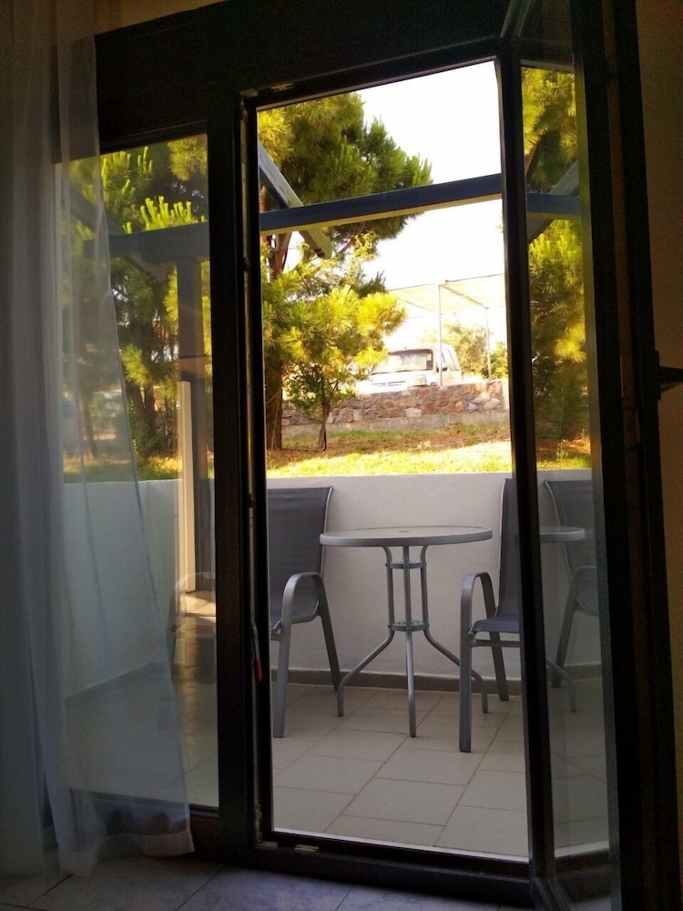 Standard Room, Mountain View photo 3