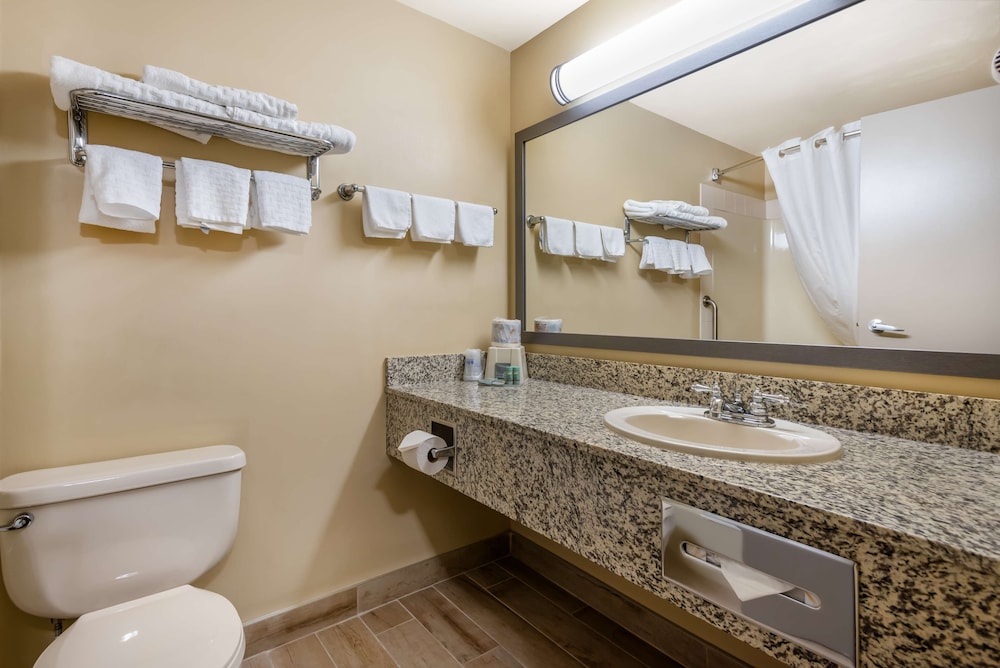 Standard Room, 1 King Bed, Non Smoking, Jetted Tub (Larger Room;with Sofabed) - Photo 7