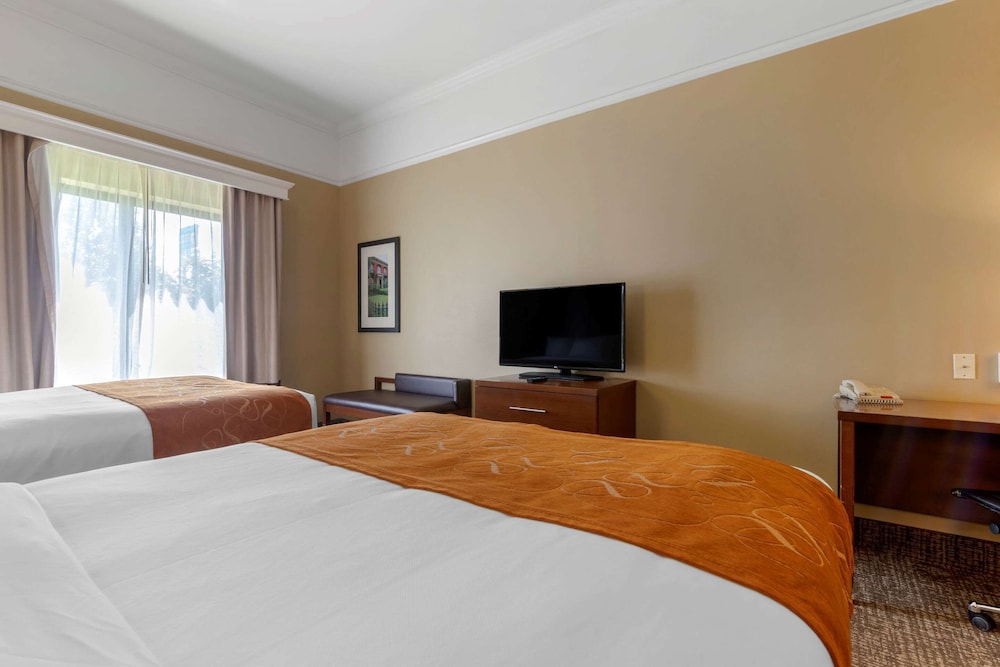 Suite, Non Smoking - Photo 2