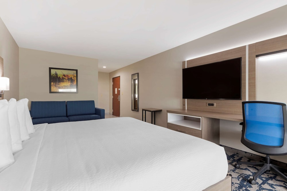 Room, 1 King Bed, Accessible, Non Smoking (Roll-in shower) - Photo 11