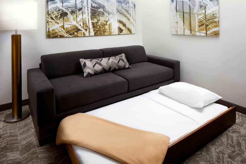 Suite, 1 Bedroom - Photo 4