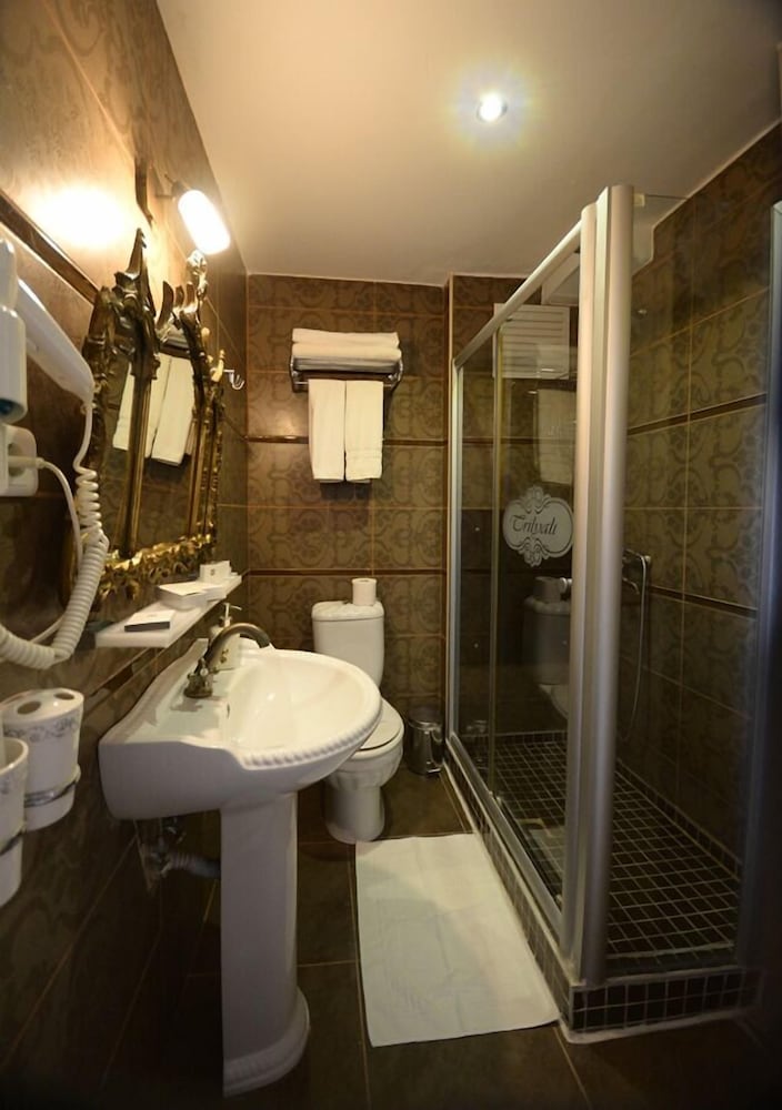 Standard Double or Twin Room photo 2