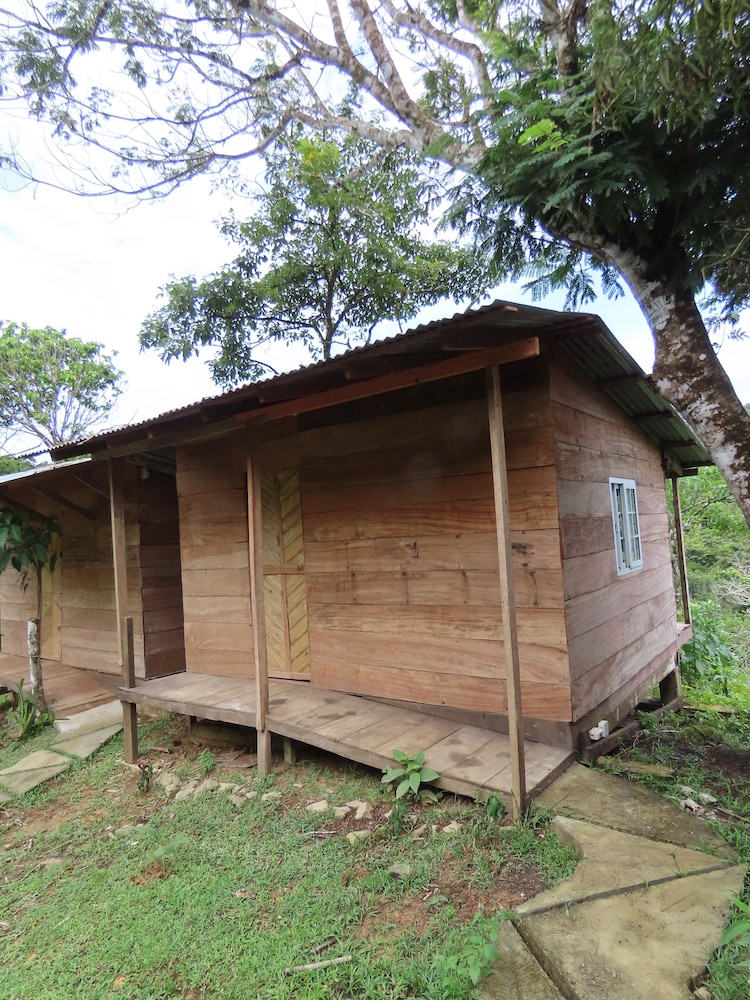Panoramic Cabin photo 2