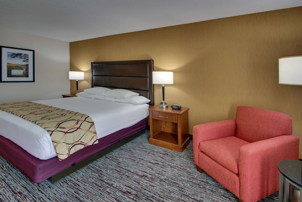 Deluxe Room, 1 King Bed, Accessible, Refrigerator & Microwave (Tub, Upper Floor) photo 3