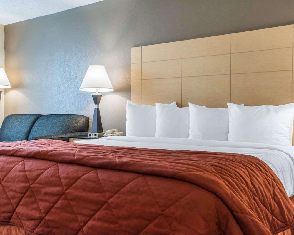 Standard Room, 1 King Bed with Sofa bed, Non Smoking