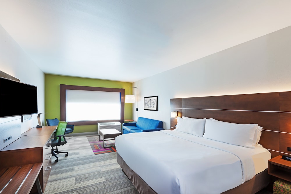 Suite, 1 King Bed with Sofa bed