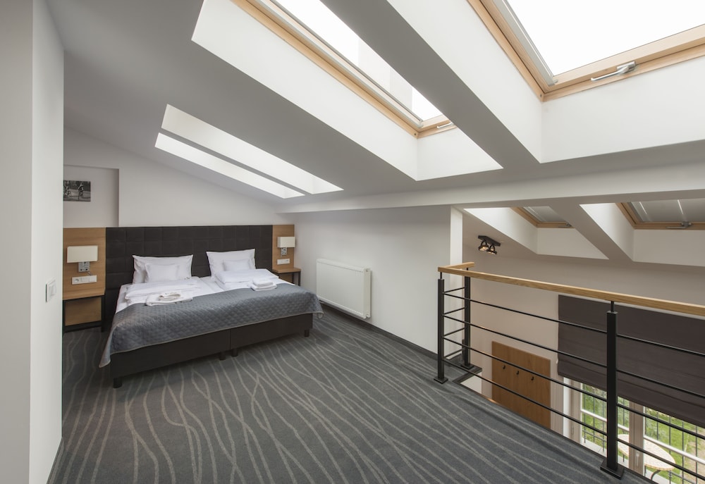 Deluxe Apartment, Balcony, Mezzanine photo 1