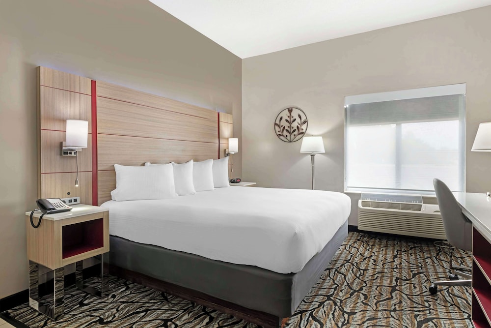Standard Room, 1 King Bed, Refrigerator & Microwave