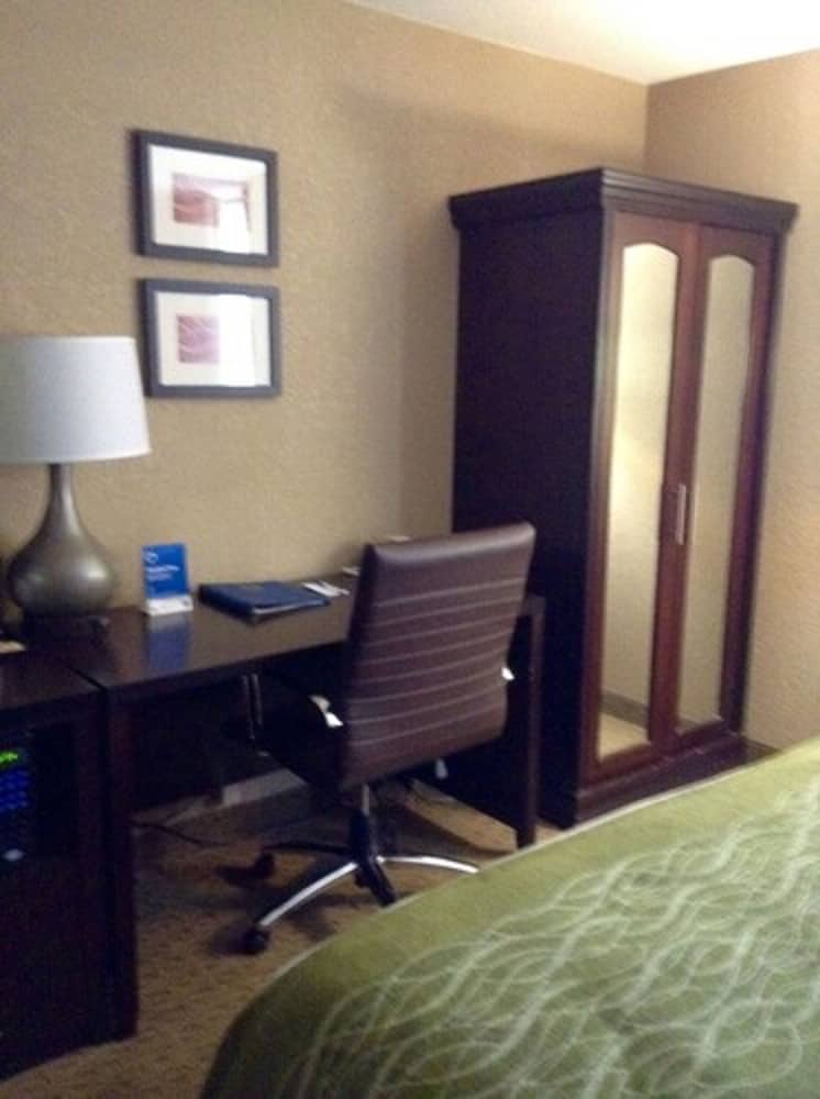 Standard Studio Suite, 1 King Bed with Sofa bed, Accessible, Non Smoking - Photo 1