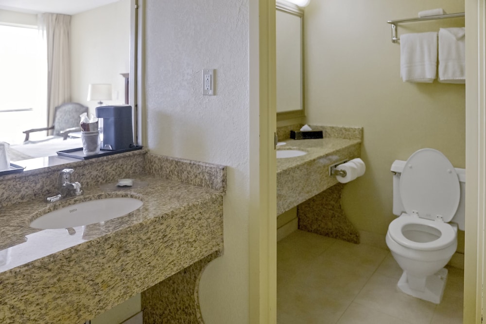 Deluxe Single Room photo 2