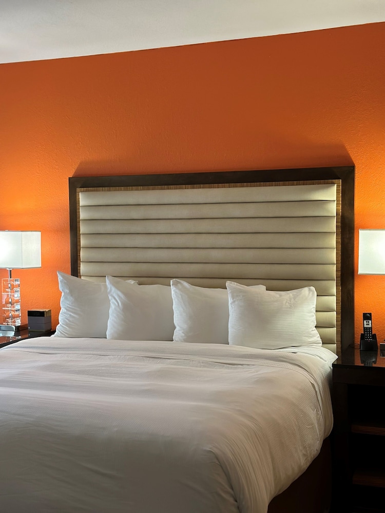 Suite, 1 King Bed, City View - Photo 3