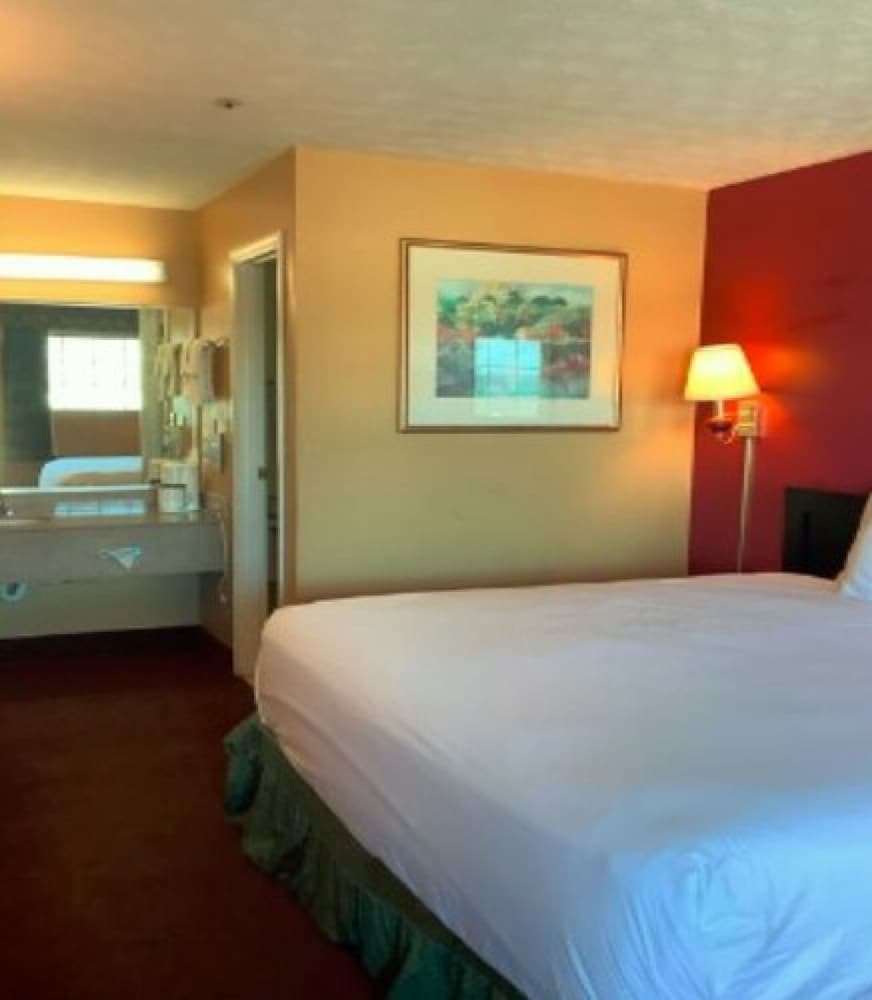 Room, 1 King Bed photo 1