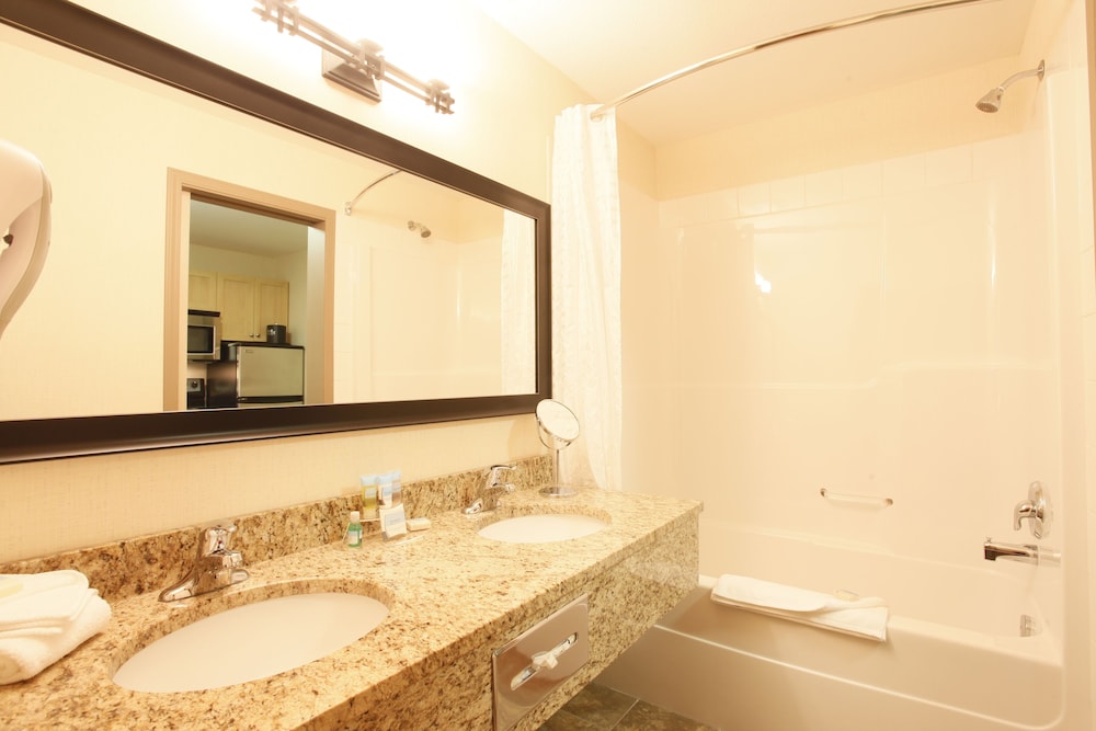 Deluxe Suite, 1 King Bed with Sofa bed, Kitchen photo 3
