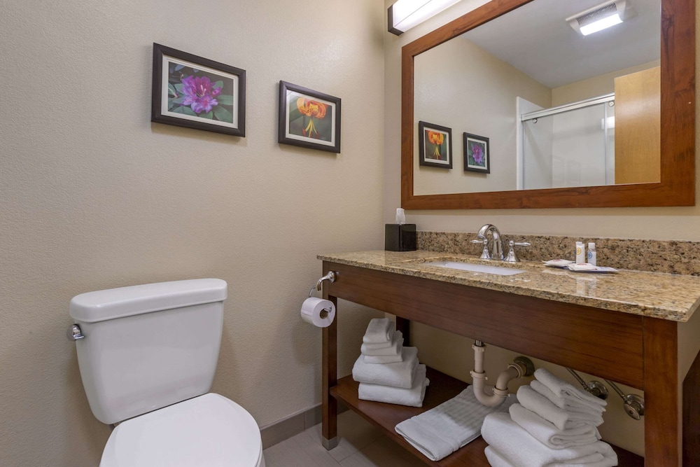 Suite - Photo 1