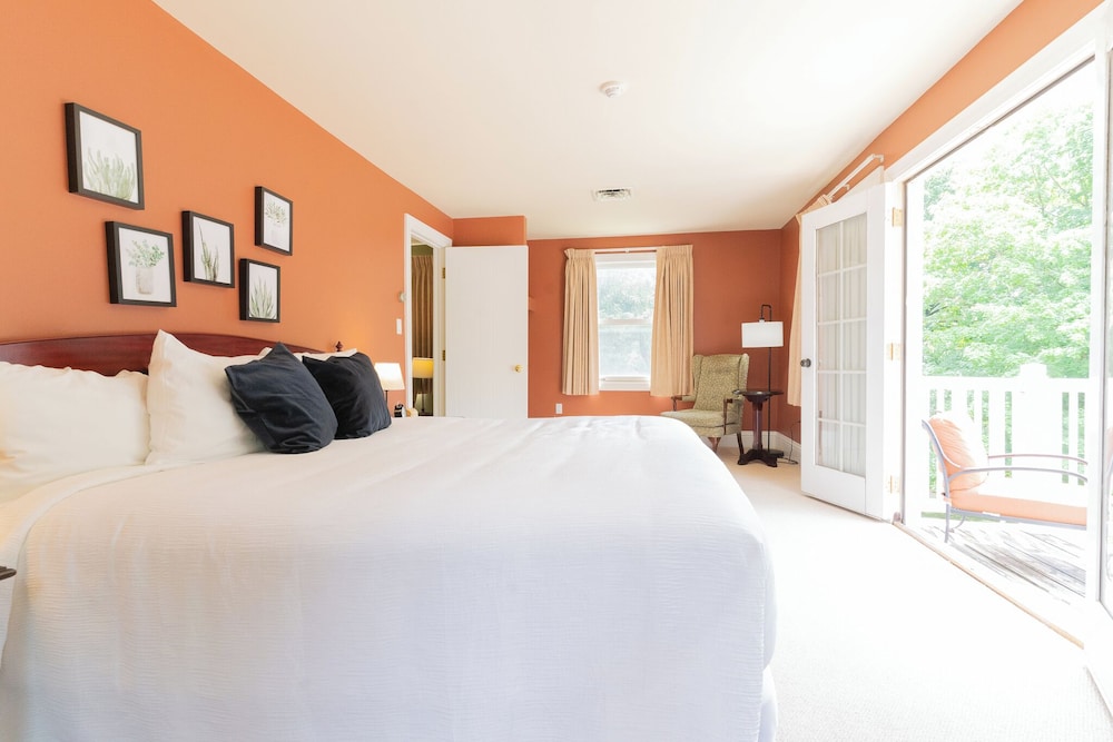 Luxury Studio Suite, 1 King Bed with Sofa bed, Non Smoking, Garden View photo 1