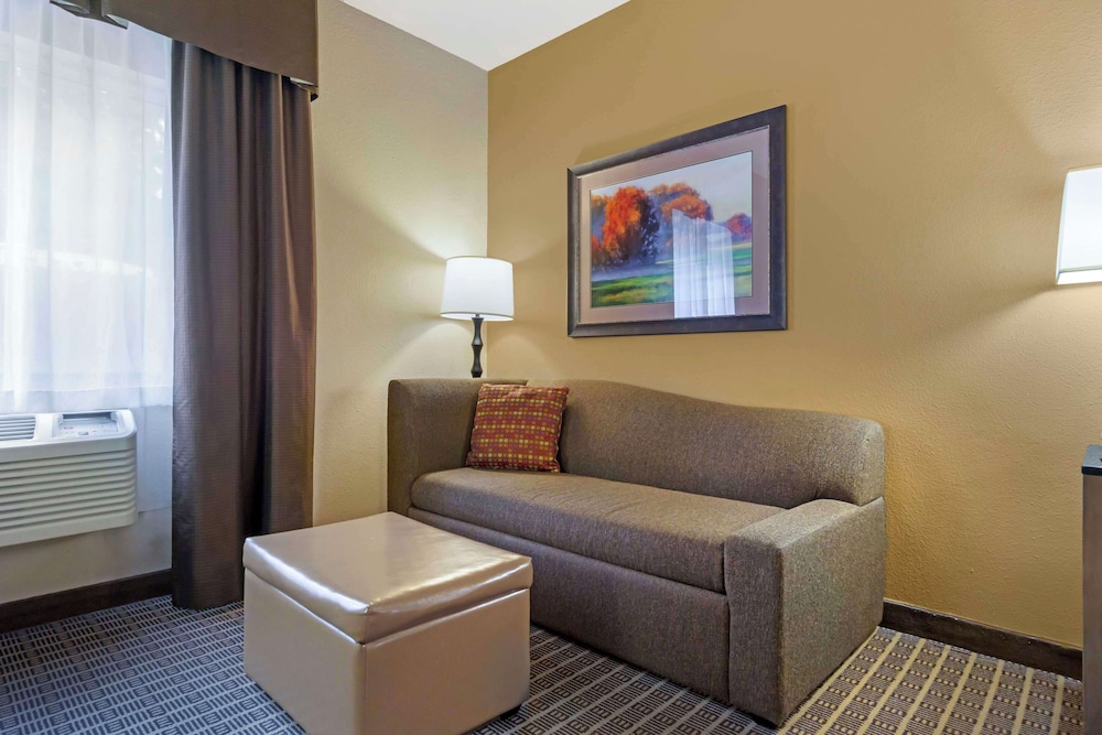 Standard Room, 1 King Bed, Accessible, Refrigerator & Microwave (Walk-in Shower;with Sofabed) photo 2
