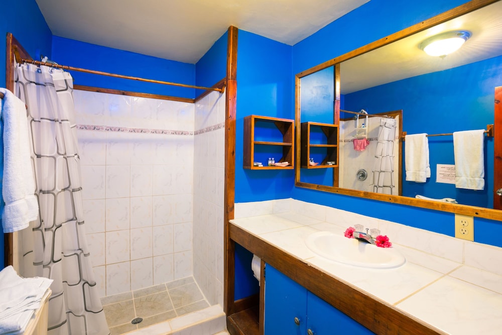 #11 & #12 King, Full Bed, Twin Bed Garden Suites photo 2
